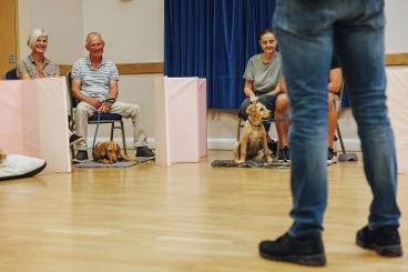 Puppy school Cornwall