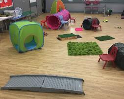 Puppy Play and Learn Redditch